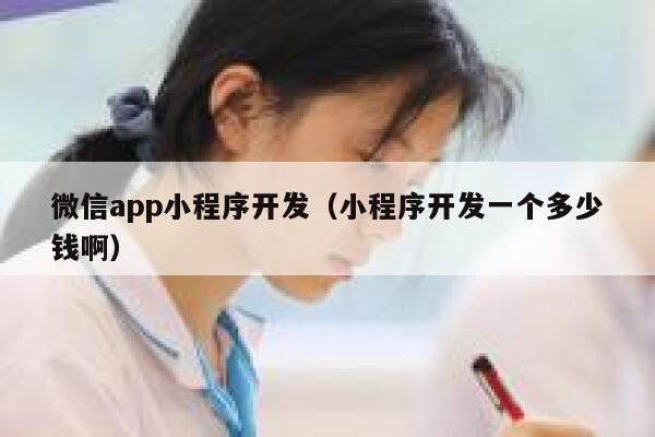微信app小程序开发(小程序开发一个多少钱啊) 第1张 微信app小程序开发(小程序开发一个多少钱啊) 第1张