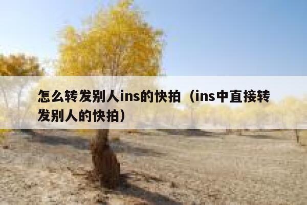 怎么转发别人ins的快拍（ins中直接转发别人的快拍） 第1张