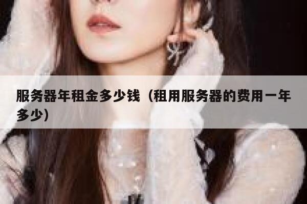 服务器年租金多少钱（租用服务器的费用一年多少） 第1张