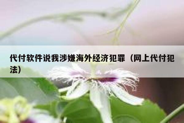 代付软件说我涉嫌海外经济犯罪(网上代付犯法) 第1张 代付软件说我涉嫌海外经济犯罪(网上代付犯法) 第1张