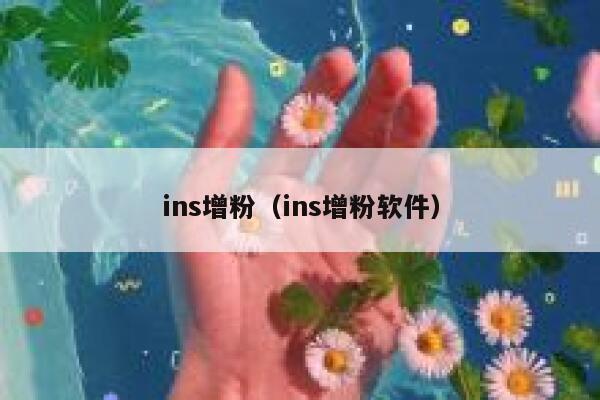 ins增粉(ins增粉软件) 第1张 ins增粉(ins增粉软件) 第1张