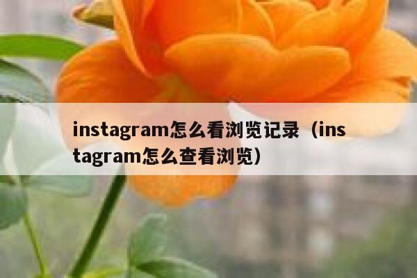 instagram怎么看浏览记录(instagram怎么查看浏览) 第1张 instagram怎么看浏览记录(instagram怎么查看浏览) 第1张