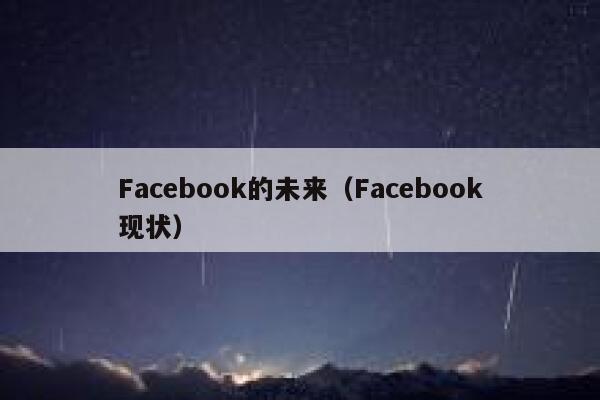 Facebook的未来（Facebook现状） 第1张