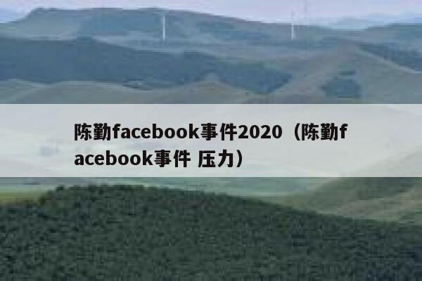 陈勤facebook事件2020（陈勤facebook事件 压力） 第1张