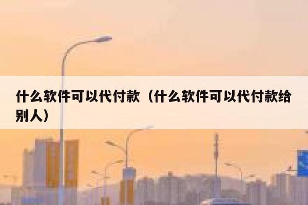 什么软件可以代付款（什么软件可以代付款给别人） 第1张