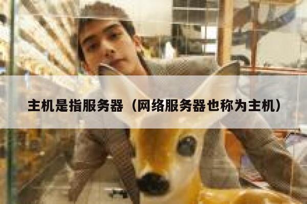 主机是指服务器(网络服务器也称为主机) 第1张 主机是指服务器(网络服务器也称为主机) 第1张