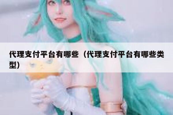 代理支付平台有哪些（代理支付平台有哪些类型） 第1张
