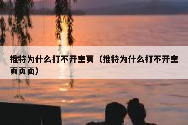 推特为什么打不开主页（推特为什么打不开主页页面） 第1张
