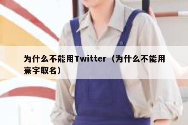 为什么不能用Twitter（为什么不能用熹字取名） 第1张