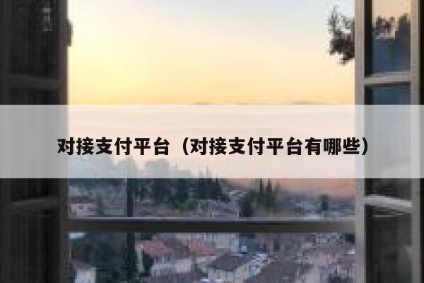 对接支付平台（对接支付平台有哪些） 第1张