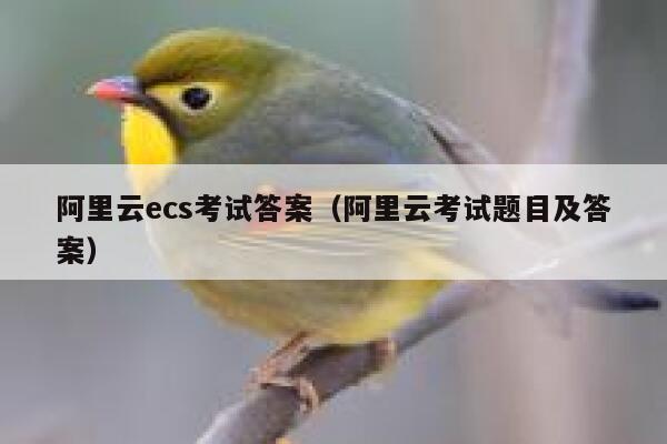 阿里云ecs考试答案（阿里云考试题目及答案） 第1张