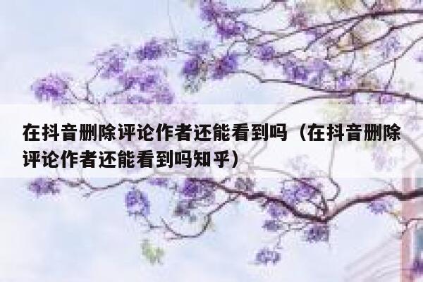 在抖音删除评论作者还能看到吗（在抖音删除评论作者还能看到吗知乎） 第1张
