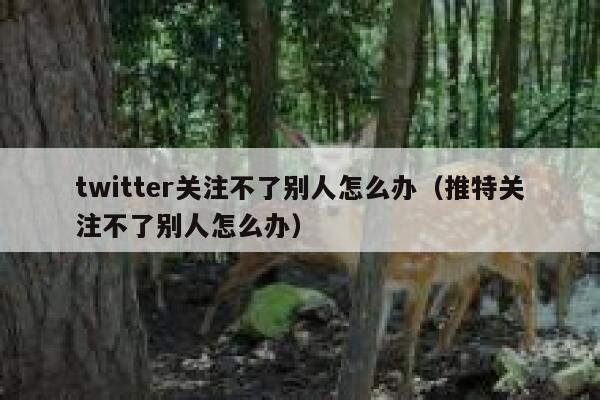 twitter关注不了别人怎么办（推特关注不了别人怎么办） 第1张