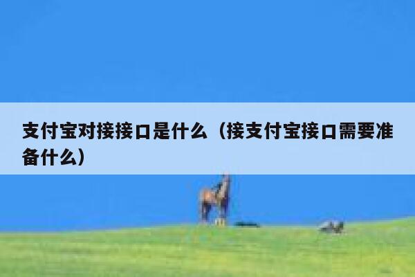 支付宝对接接口是什么（接支付宝接口需要准备什么） 第1张