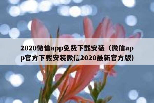 2020微信app免费下载安装（微信app官方下载安装微信2020最新官方版） 第1张