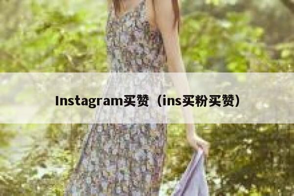 Instagram买赞（ins买粉买赞） 第1张