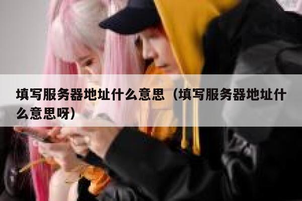 填写服务器地址什么意思（填写服务器地址什么意思呀） 第1张