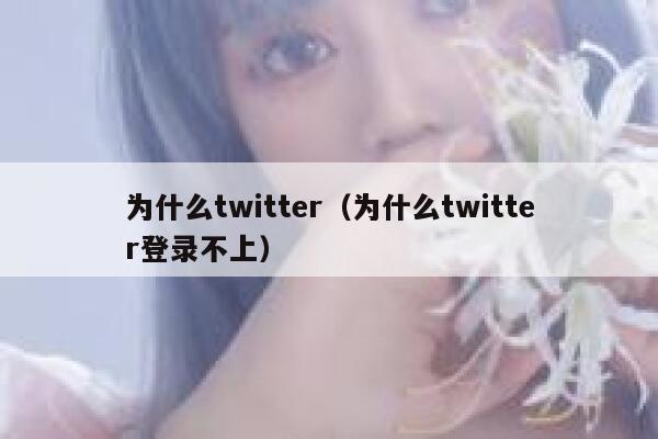 为什么twitter（为什么twitter登录不上） 第1张