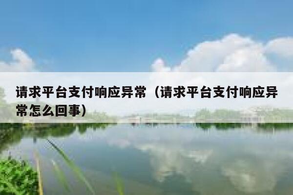 请求平台支付响应异常（请求平台支付响应异常怎么回事） 第1张
