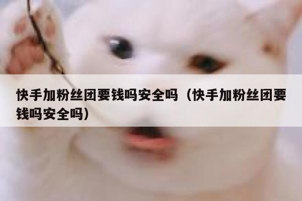 快手加粉丝团要钱吗安全吗（快手加粉丝团要钱吗安全吗） 第1张