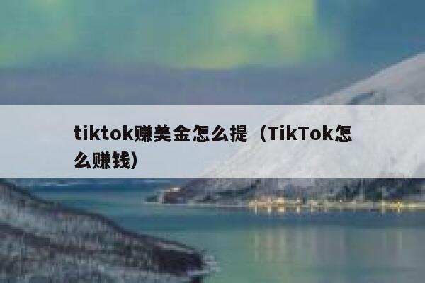 tiktok赚美金怎么提（TikTok怎么赚钱） 第1张