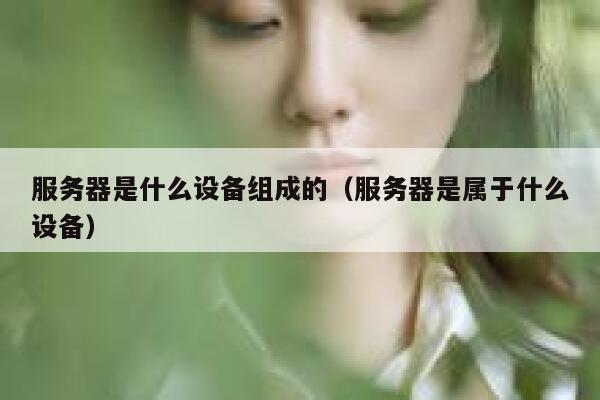 服务器是什么设备组成的（服务器是属于什么设备） 第1张