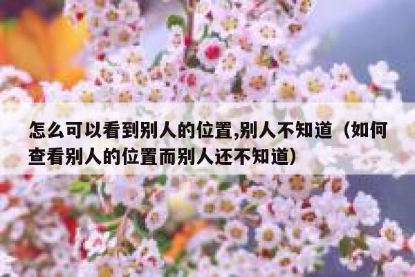 怎么可以看到别人的位置,别人不知道（如何查看别人的位置而别人还不知道） 第1张