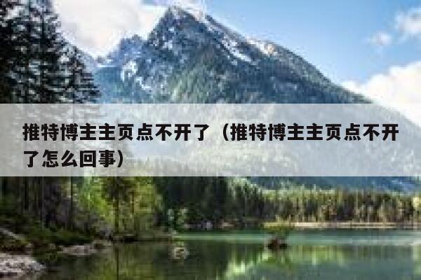 推特博主主页点不开了（推特博主主页点不开了怎么回事） 第1张