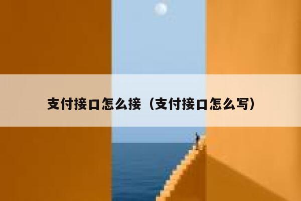 支付接口怎么接（支付接口怎么写） 第1张