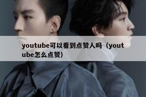 youtube可以看到点赞人吗(youtube怎么点赞) 第1张 youtube可以看到点赞人吗(youtube怎么点赞) 第1张