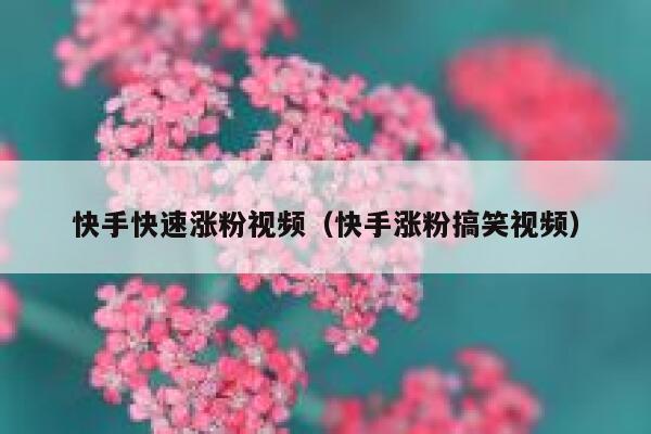 快手快速涨粉视频（快手涨粉搞笑视频） 第1张