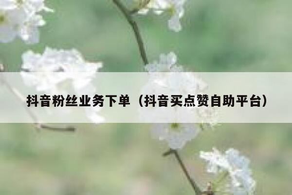 抖音粉丝业务下单（抖音买点赞自助平台） 第1张