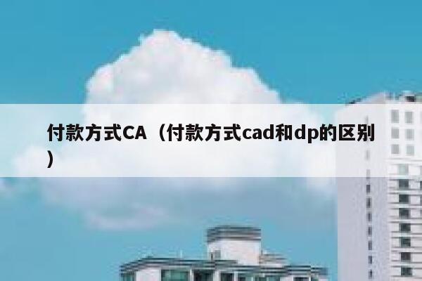 付款方式CA（付款方式cad和dp的区别） 第1张