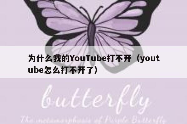 为什么我的YouTube打不开（youtube怎么打不开了） 第1张