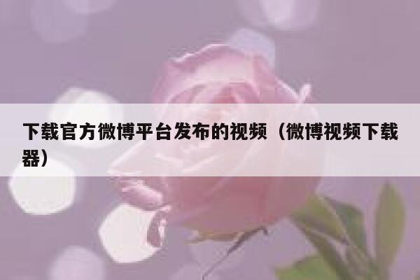 下载官方微博平台发布的视频（微博视频下载器） 第1张