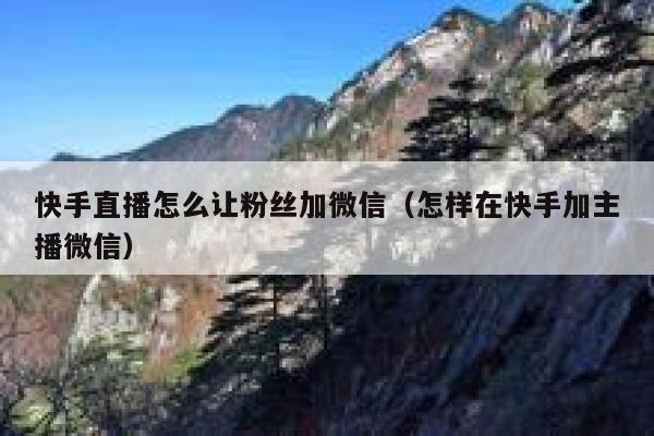 快手直播怎么让粉丝加微信（怎样在快手加主播微信） 第1张