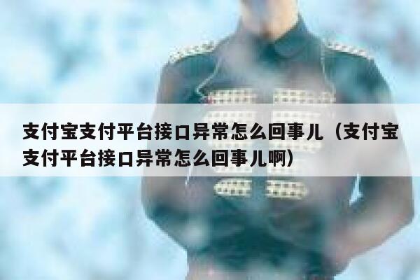 支付宝支付平台接口异常怎么回事儿（支付宝支付平台接口异常怎么回事儿啊） 第1张