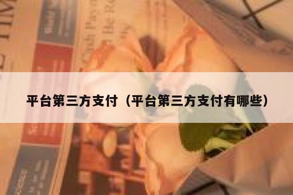 平台第三方支付（平台第三方支付有哪些） 第1张