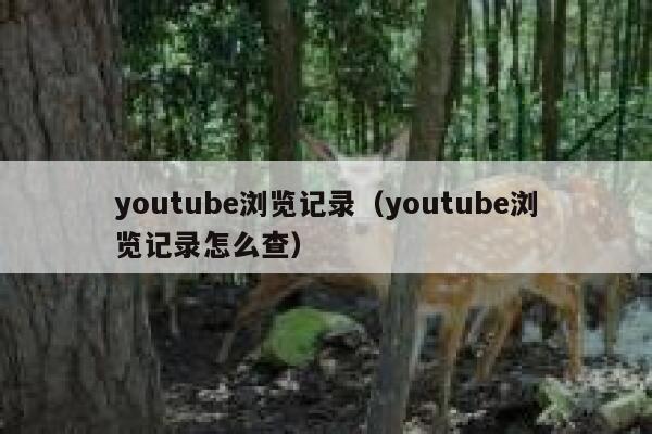 youtube浏览记录（youtube浏览记录怎么查） 第1张