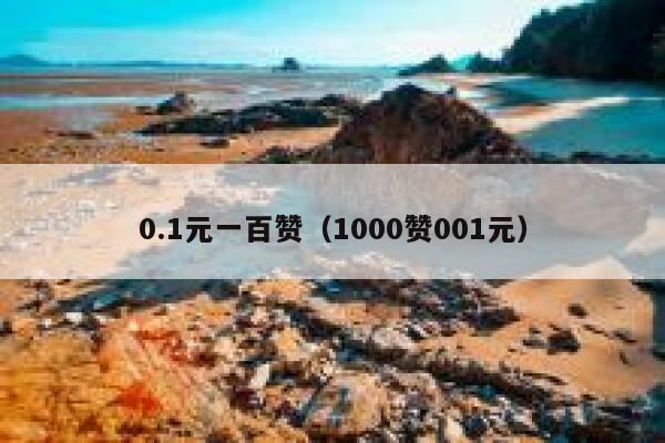 0.1元一百赞（1000赞001元） 第1张