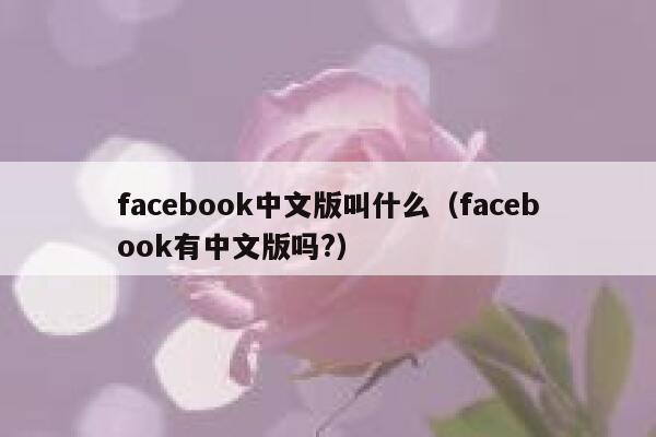 facebook中文版叫什么（facebook有中文版吗?） 第1张