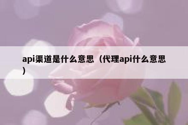 api渠道是什么意思（代理api什么意思） 第1张