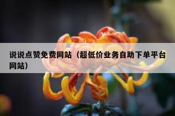 说说点赞免费网站（超低价业务自助下单平台网站） 第1张