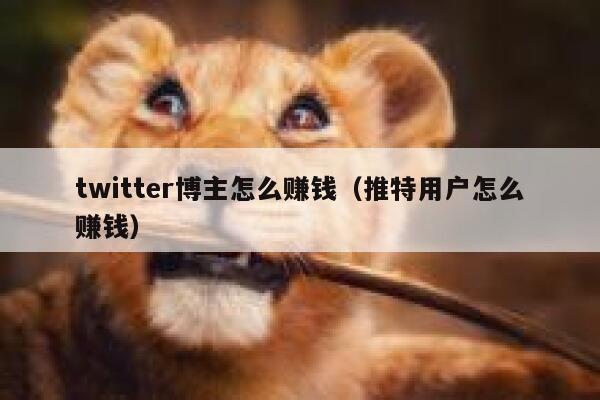 twitter博主怎么赚钱（推特用户怎么赚钱） 第1张