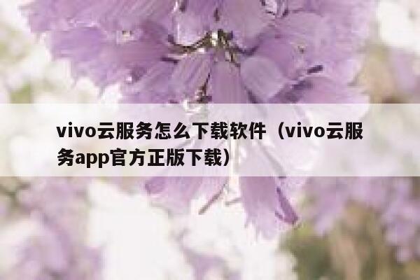vivo云服务怎么下载软件（vivo云服务app官方正版下载） 第1张