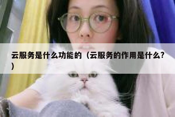 云服务是什么功能的（云服务的作用是什么?） 第1张