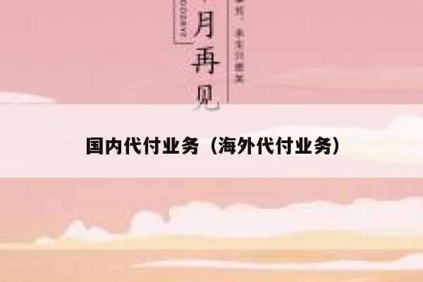 国内代付业务(海外代付业务) 第1张 国内代付业务(海外代付业务) 第1张