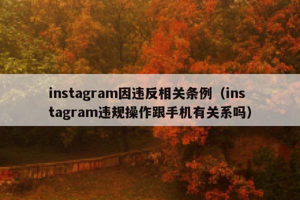 instagram因违反相关条例(instagram违规操作跟手机有关系吗) 第1张 instagram因违反相关条例(instagram违规操作跟手机有关系吗) 第1张