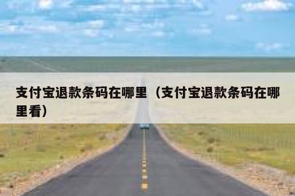 支付宝退款条码在哪里(支付宝退款条码在哪里看) 第1张 支付宝退款条码在哪里(支付宝退款条码在哪里看) 第1张