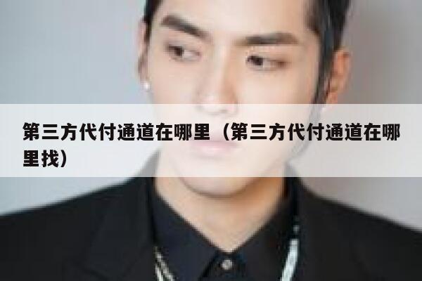 第三方代付通道在哪里(第三方代付通道在哪里找) 第1张 第三方代付通道在哪里(第三方代付通道在哪里找) 第1张